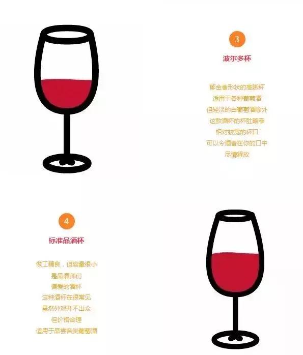 启智说说|“人人都该知道的葡萄酒基础知识”分享