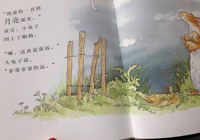 3岁绘本推荐书单不一样的卡梅拉,绘本阅读卡1-2年级数学阅读书单