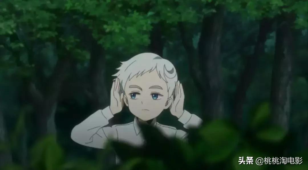 9.5分这部神剧不该被埋没,9.2分神剧真实到令人窒息