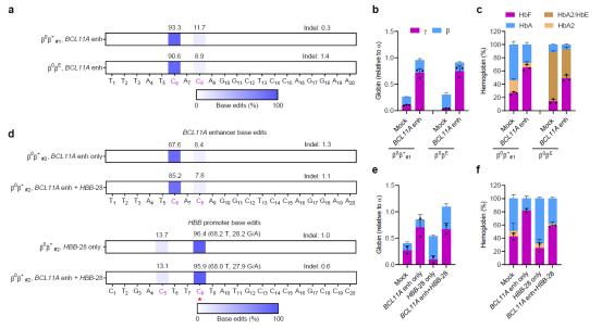 新一代单碱基编辑技术有望治愈β-地中海贫血和镰刀状贫血症