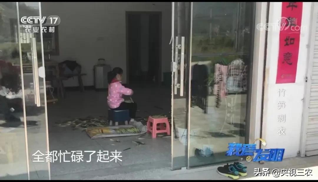 王万能自动剥笋机联系电话,手剥竹笋皮神器