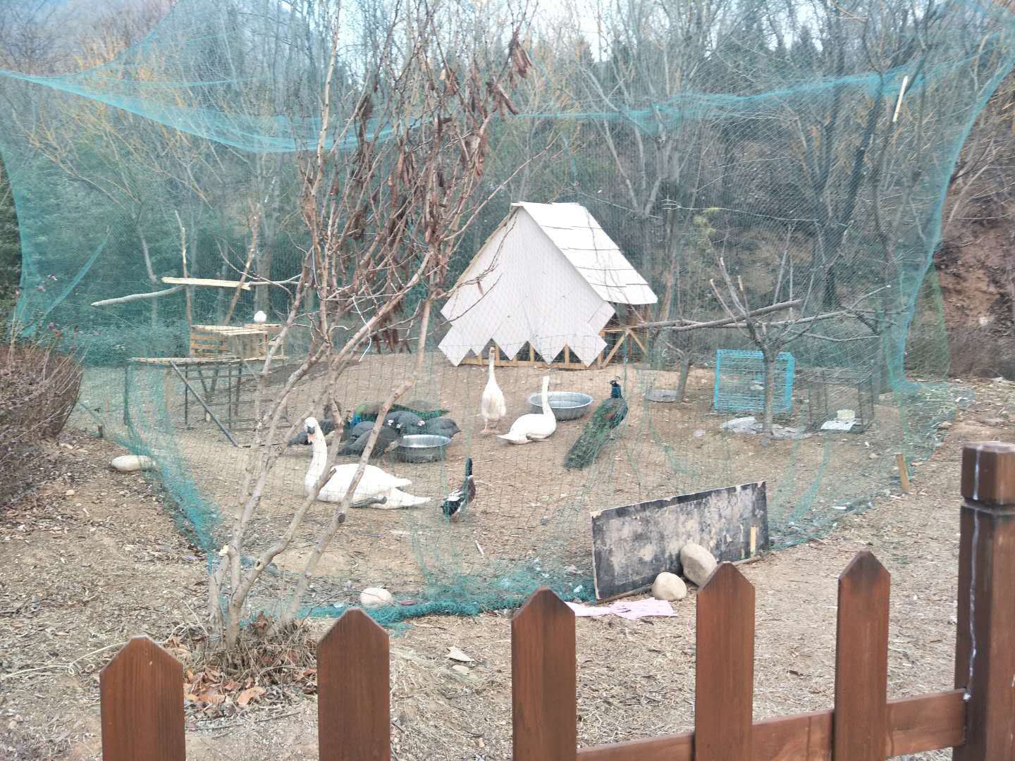 娲皇宫是几级景区,娲皇宫有哪些景区免费的