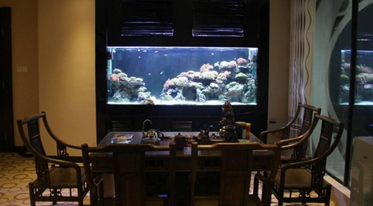 鱼缸噪音太吵怎么解决,鱼缸底滤噪音大还是上过滤噪音大