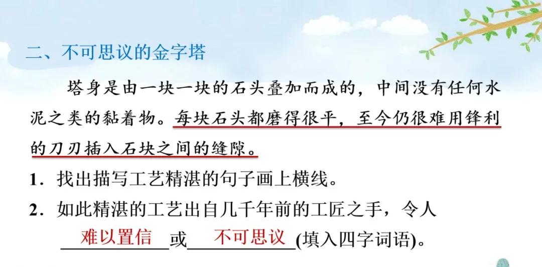 部编版五年级下册语文金字塔教案,语文书五年级下册第20课课后练习