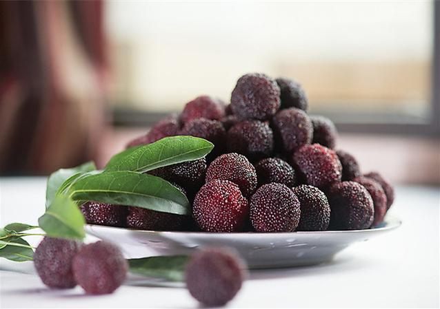 兰溪杨梅正式开摘！最强采摘攻略出炉，五十里杨梅长廊够吃吗？杨梅自由就是现在！