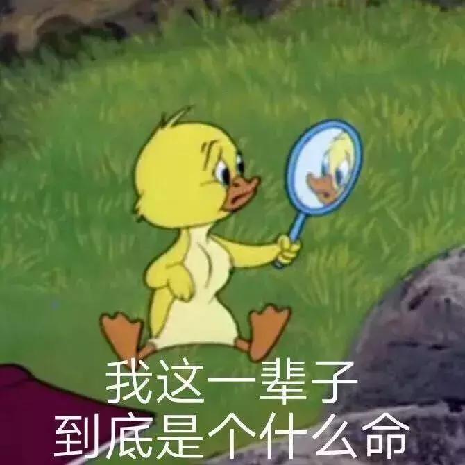 让李佳琦OMG的所有口红都在这里，究竟哪些值得买！
