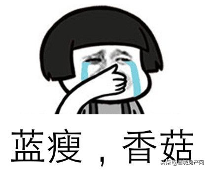 实探！当年你爱理不理的东南新区，现今教育、商业、医疗齐发展