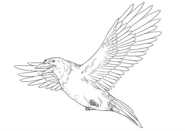 舌尖上的山海经全部视频,舌尖上的山海经洞庭鱼