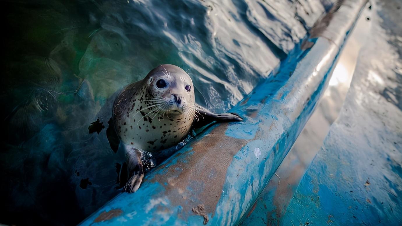 辽宁省大连市几个区,浅谈34个省市之江苏