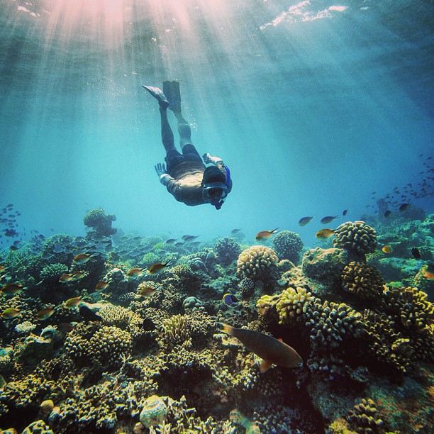 马尔代夫5星岛水屋多少钱,马尔代夫性价比最高岛