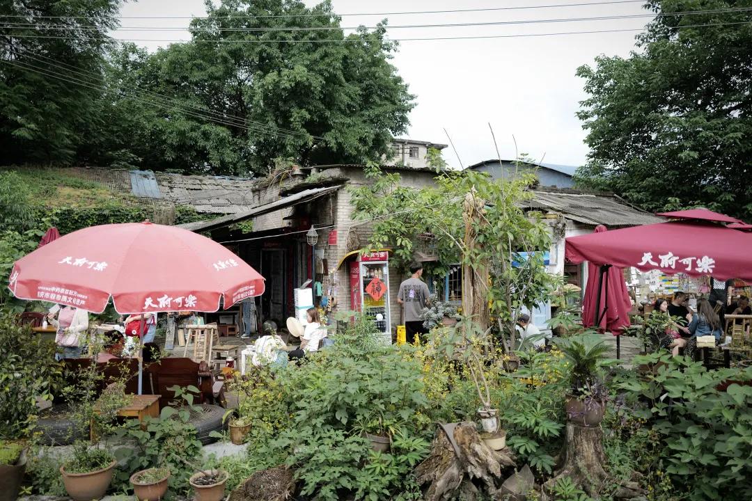重庆旅行危险吗,重庆旅游真的不能去吗