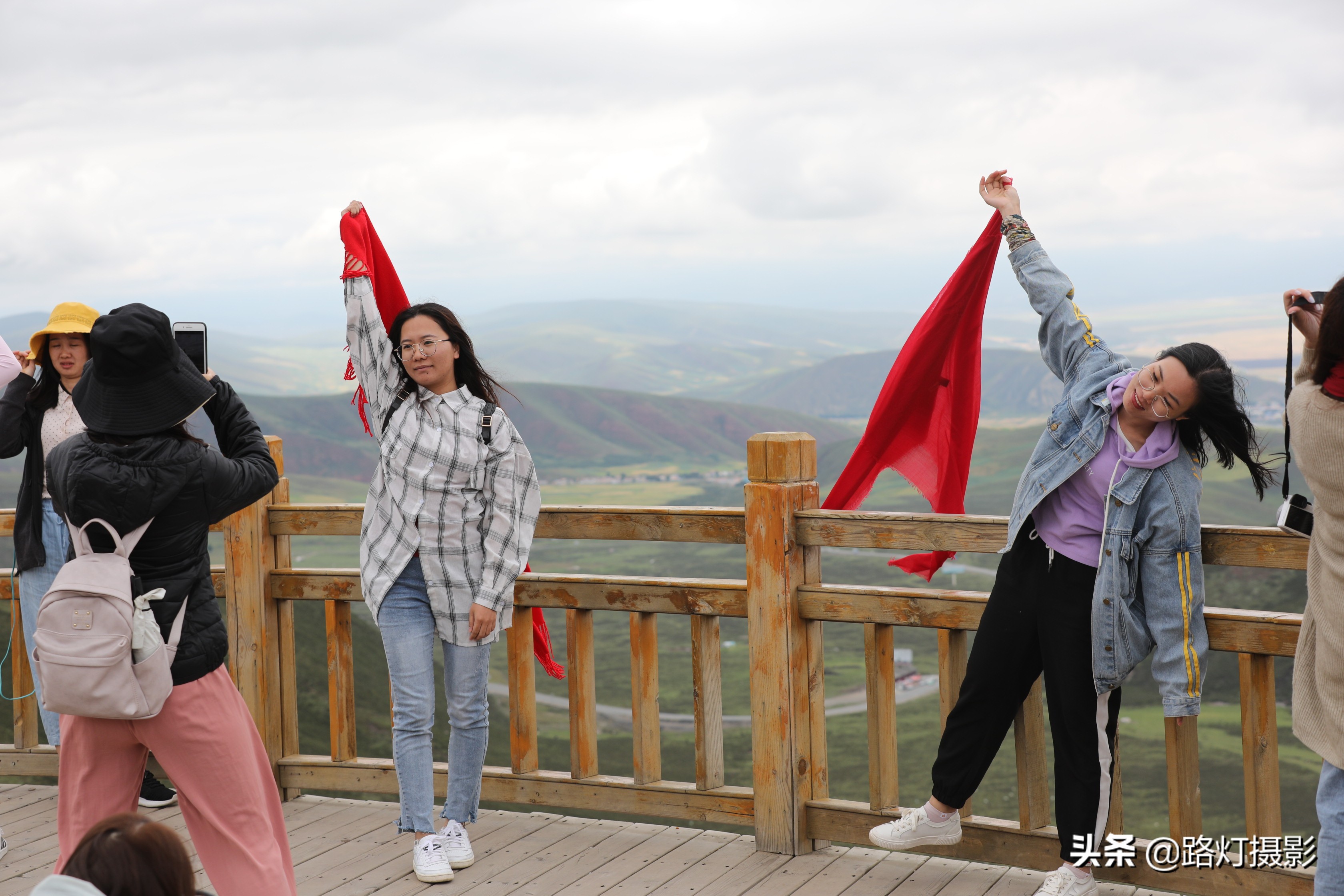 草原美丽的花海风景视频,青海花海旅游景区
