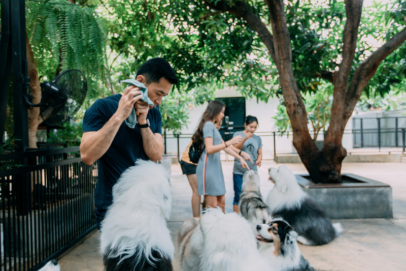 多次曼谷，整理了这份美食攻略，曼谷怎么吃？快戳进来