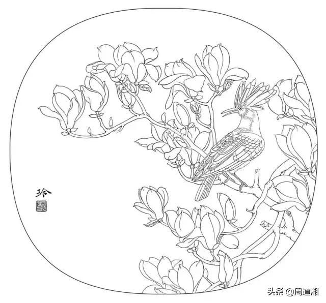 宋人工笔花鸟临摹步骤,工笔花鸟玉兰的画法