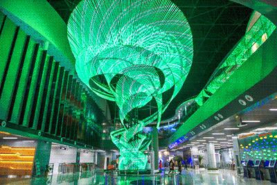 武汉最贵的食物,武汉最贵的特产