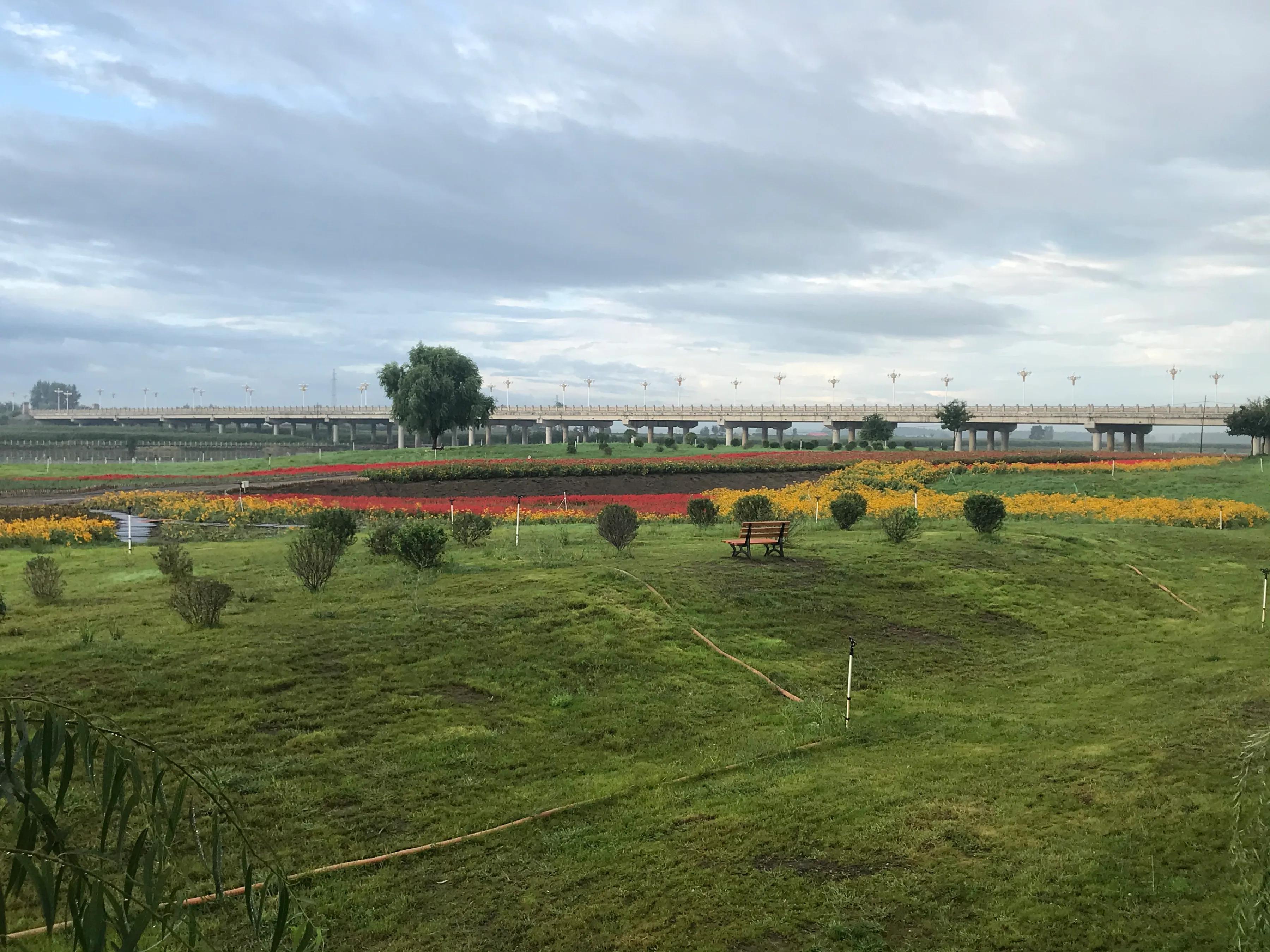 辉南街早市开了吗,辉南朝阳镇早市开门营业时间