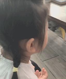 月销10000+，17个堪比艺术大片的彩虹实验，在家就能做