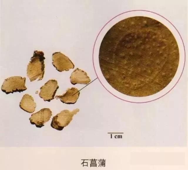 中药材图片大全大图带药名,200多味中药材图谱带图