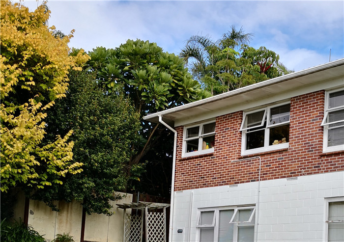 新西兰宅居第五天