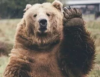 小骨架女生怎么养成,怎么样才能变成小鸟依人型的女孩