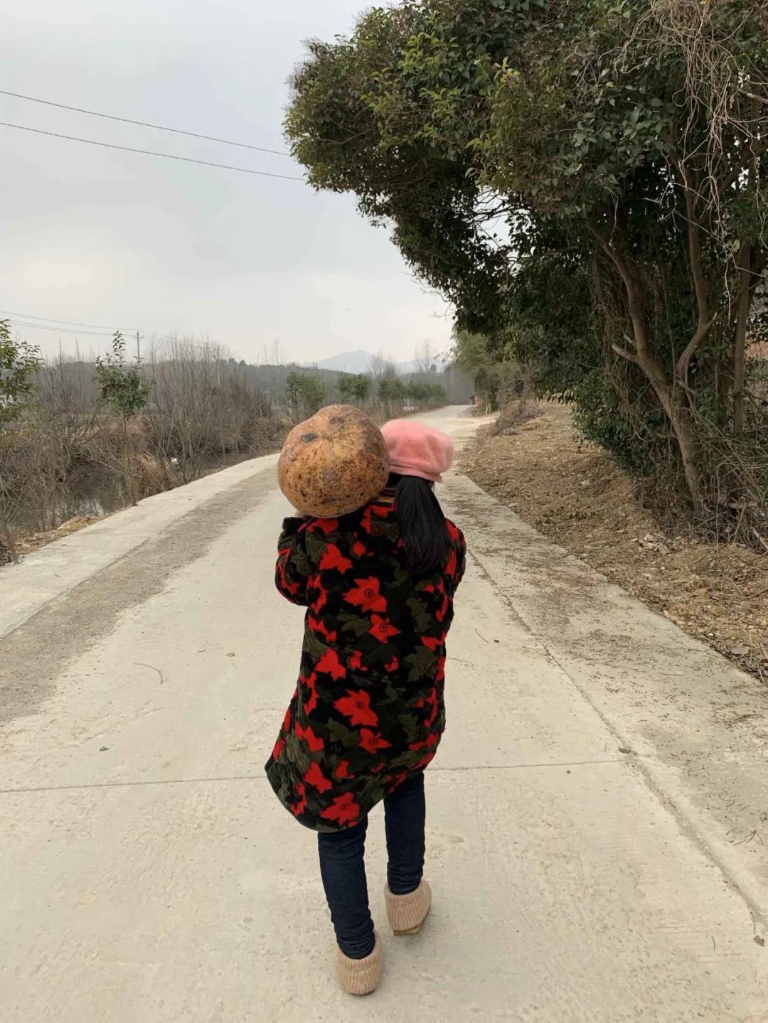 17口人吃了500斤大米被困,四川18口人一天吃多少