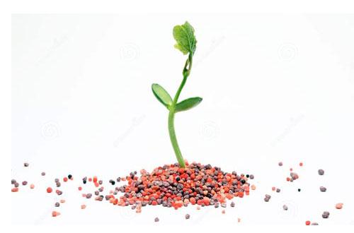 创世之沙严重不够，有什么解决途径？