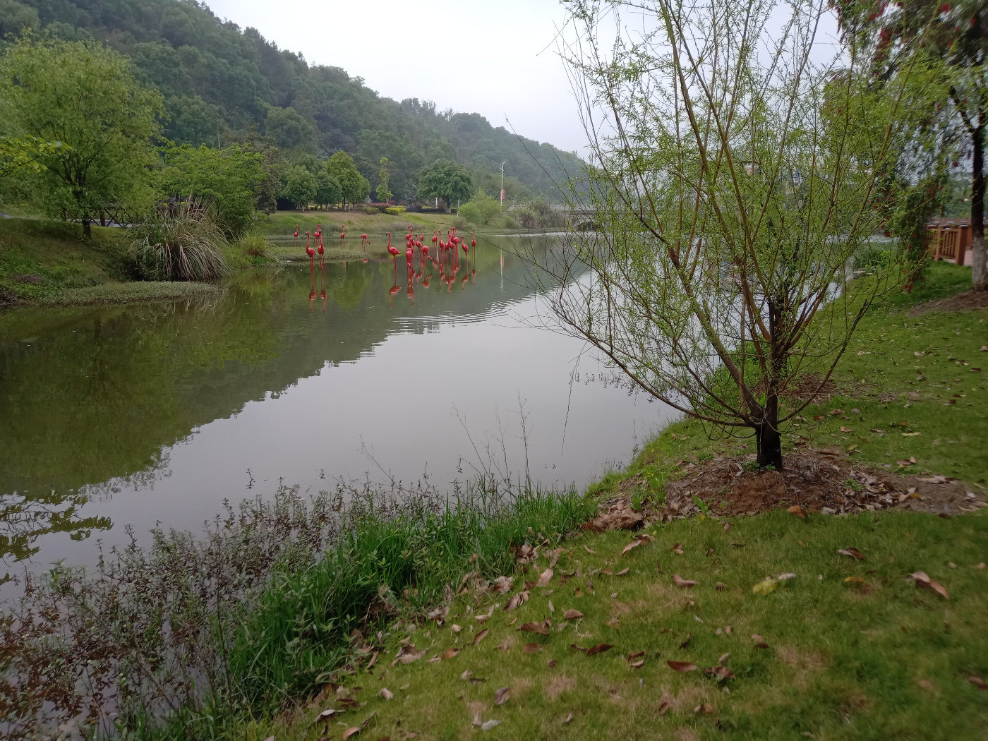 福州大学就像一座大公园，风景美到爆！最美的世界一流学科院校