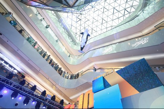 虎鲸宝宝现身北京来福士凯德17城39座购物中心乐享精彩夏日