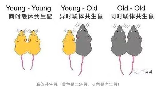 让一部分人先富起来的重要性,让一部分人先富起来的正确理解