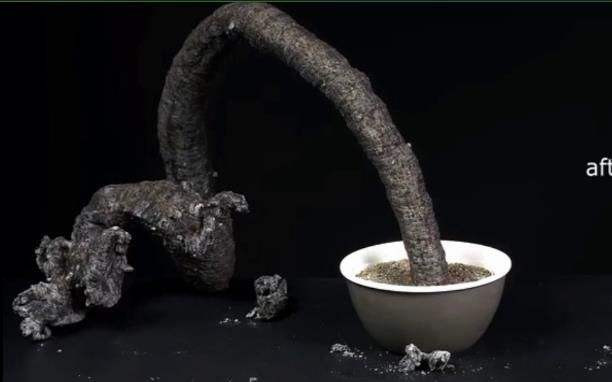 小孩玩面粉可以吗,家里有小孩关注看护不离视线