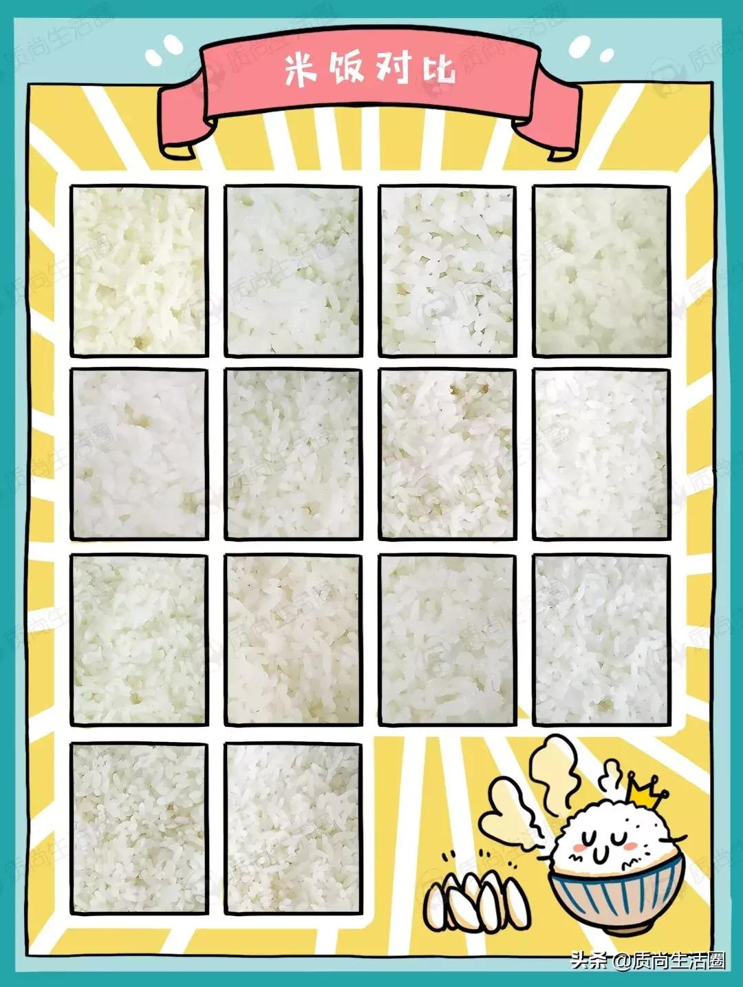 做饭的秘密,电饭煲的秘密小妙招