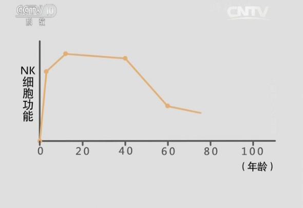 央视特别报道：“复活的NK细胞”—揭示免疫力降落的真相