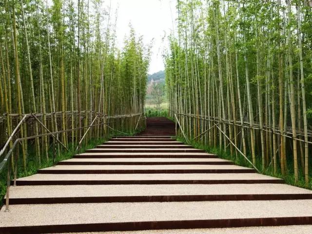 矿坑改造最美公园,矿坑改造湿地公园视频