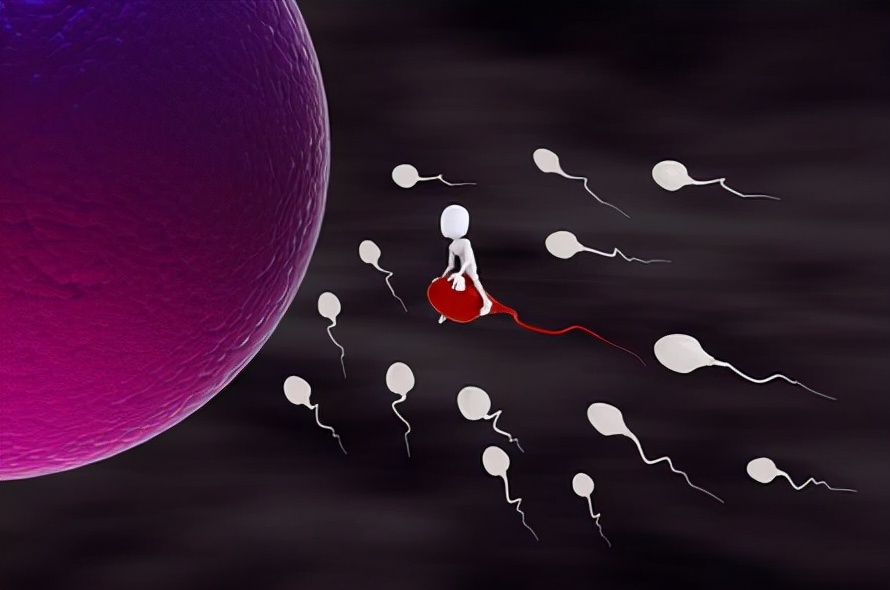 除了胎生和卵生还有什么繁殖方式,除了自然受孕还有什么方法生孩子