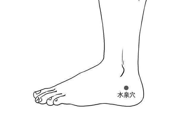 头部眩晕失眠怎么办？医生教你足疗按摩，原来可以这么管用