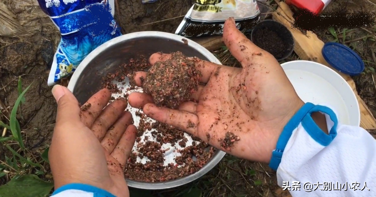 要想鱼上岸，就拿粮食换！用这5种打窝方法，利用好每一粒窝料