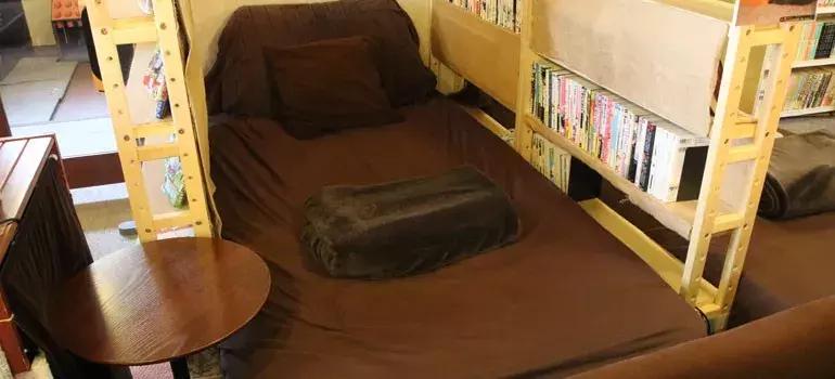 可以撸羊驼撸猫撸狗的咖啡厅,猫咖咖啡馆买猫