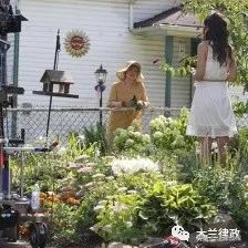 麦多斯小姐：私刑能使这个世界变得更好？