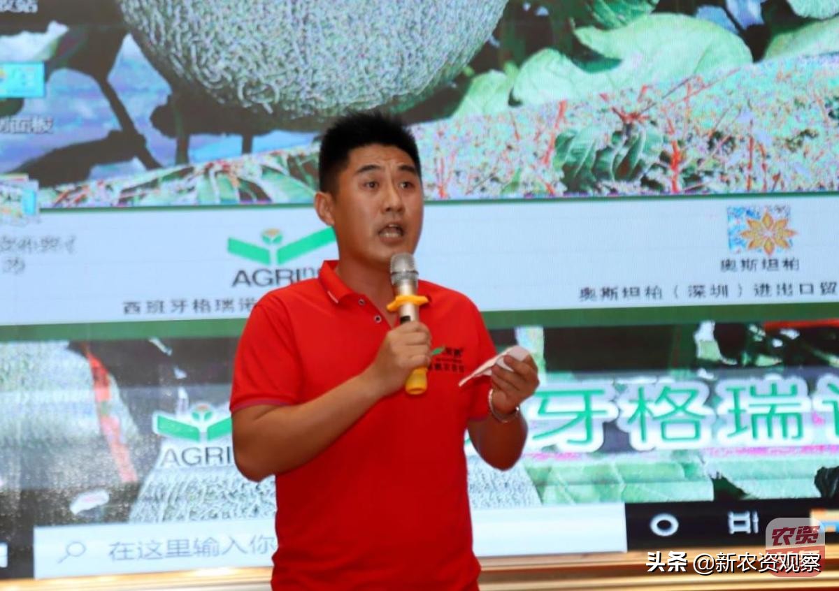 海南反季节芒果催花为何会催出芽,芒果催花后冒浆是花还是芽