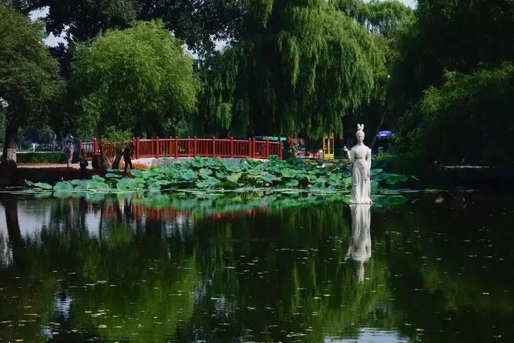 全国十大最佳赏荷好去处,沈阳赏荷花攻略