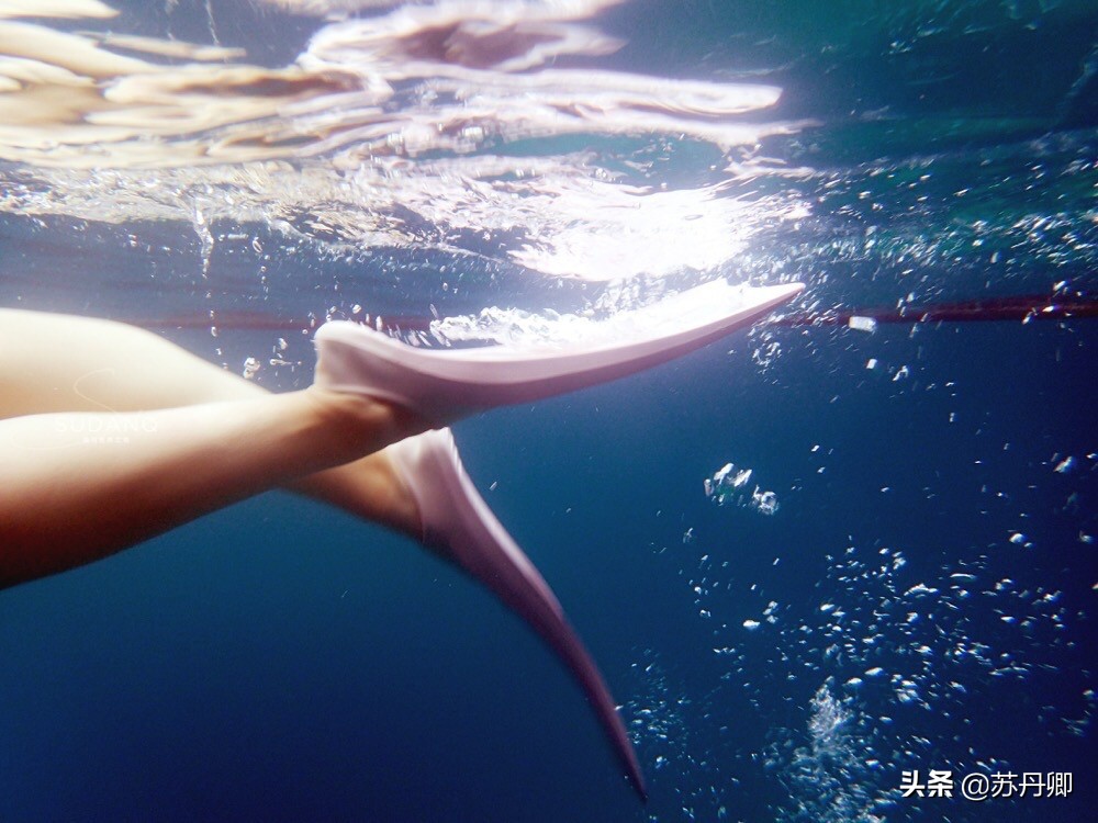 不会游泳也能遨游在海洋,不会游泳可以深海潜水吗