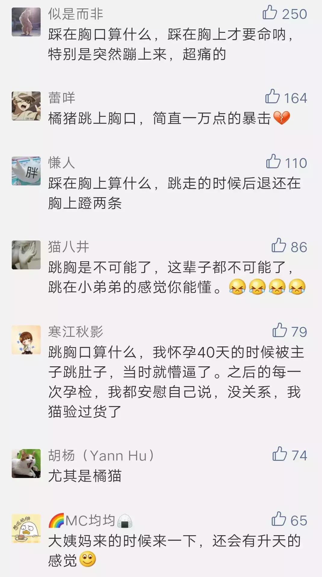 被猫踩了一脚出了一点点血,猫咪被人踩了一脚口吐白沫