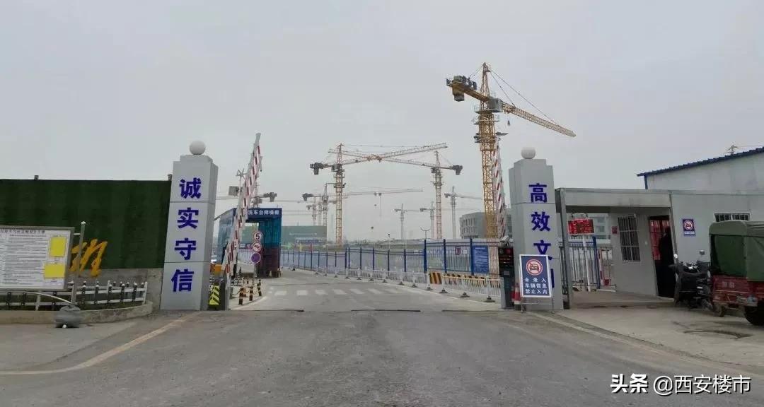 创新港现场考察,创新港真实照片