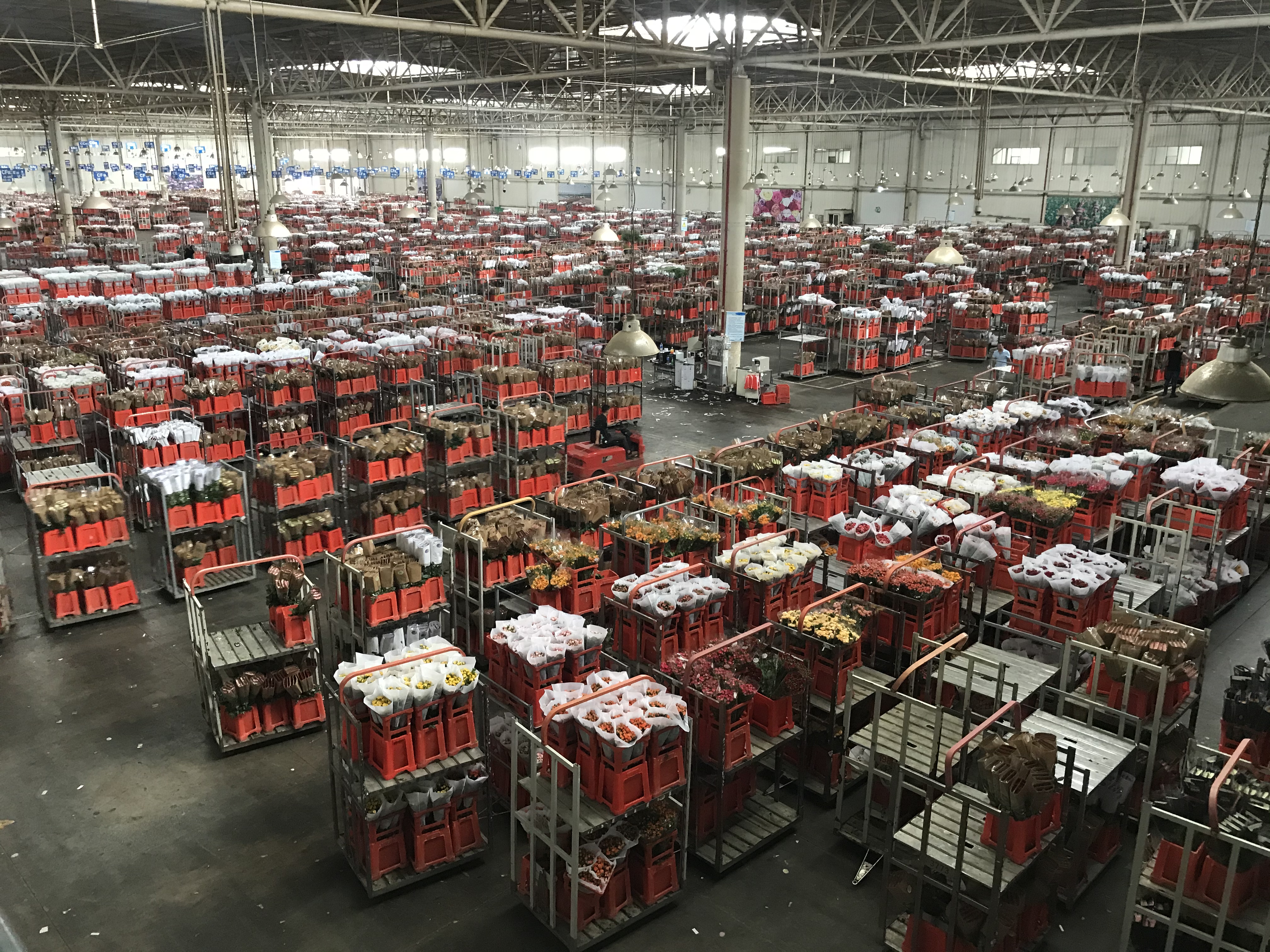 鲜花行业是怎么做的,鲜花行业发展前景如何