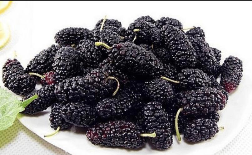 狗狗60天小便有血,狗狗尿尿没有血但是会流血