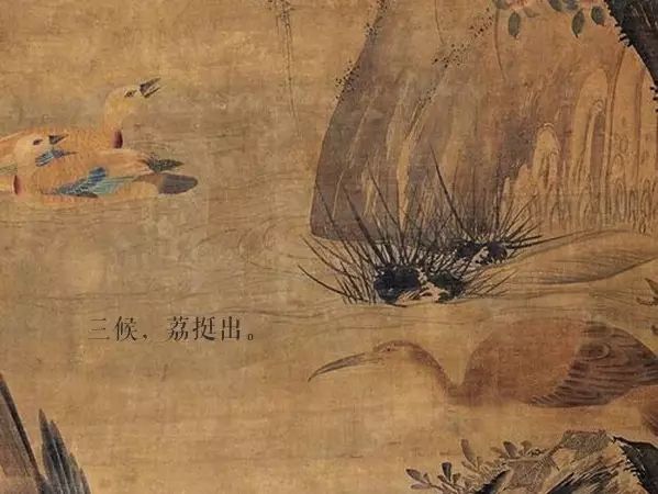 夜深知雪重读音,夜深知雪重