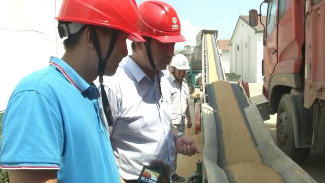 今年早稻收购价格怎样,早稻价格最新行情