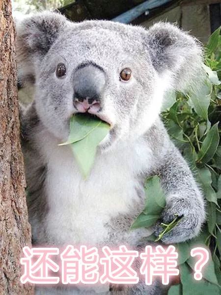 吃了东西拉出来还是原样喝什么药,吃进去的药又吐出来是怎么回事