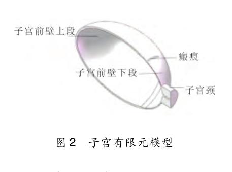 有限元应力分析结果有单位吗,有限元剖分模型