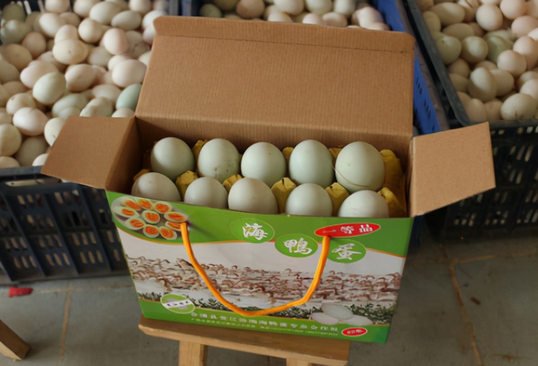 海鸭蛋为什么里面有油,海鸭蛋有造假的吗